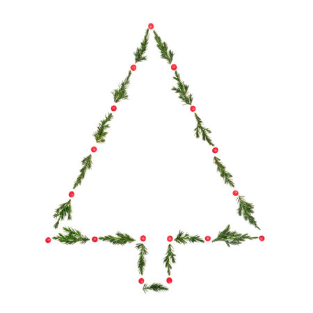 Christmas tree abstract shape with juniper fir and winter red holly berries on white background. Festive symbol for greeting card, logo, gift tag, label.の写真素材