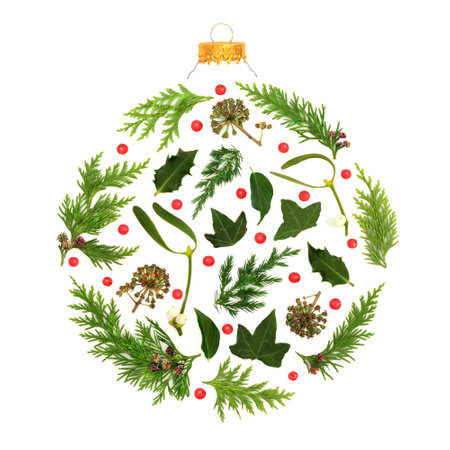 Christmas winter solstice abstract nature round bauble shape design with holly berries, mistletoe, ivy, cedar, juniper fir on white. Natural pagan wicca druid logo symbol.の写真素材