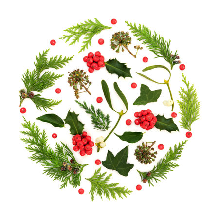 Christmas winter flora abstract nature decoration with red holly berries mistletoe, ivy, arborvitae, cedar, juniper fir on white. Natural pagan wicca druid logo symbol.の写真素材