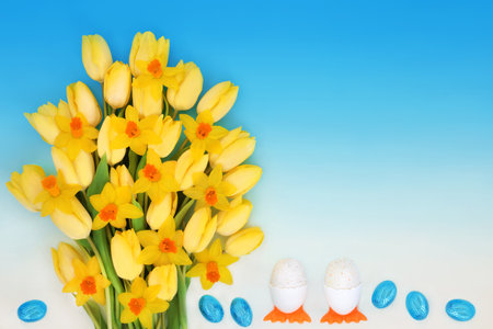 Easter eggs loose and in cute egg cups and yellow narcissus and tulip flowers of Spring on gradient blue white background, floral seasonal nature fun composition.の写真素材