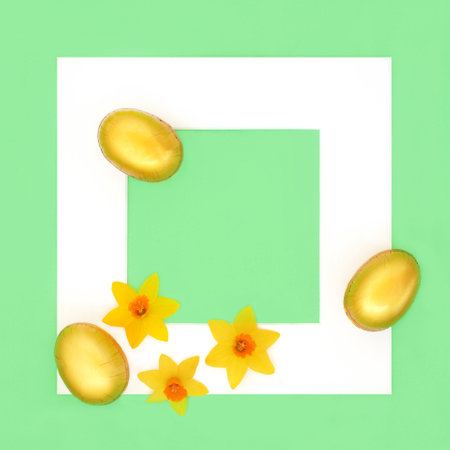 Gold Easter egg and spring narcissus flower background on green with white border frame. Seasonal floral  nature festive design for the holiday season.の写真素材
