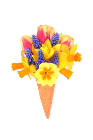 Ice cream cornet with Spring flowers of tulips, daffodils, grape hyacinths, narcissus and primroses. Fun floral seasonal symbol for greeting card.の写真素材
