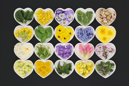 Edible Spring flower and leaves collection in heart shape bowls on dark green background. Floral nature seasonal colorful food for herbal health and decoration.の写真素材