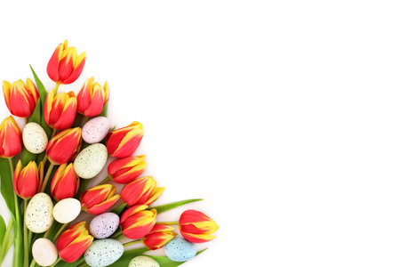 Easter eggs, red and yellow tulip flower bouquet on white background. Floral arrangement for greeting card, label, gift tag, invitation, menu.の写真素材