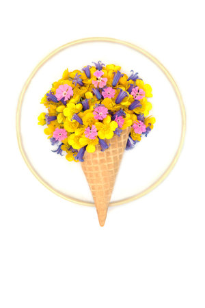 Surreal spring wildflower ice cream cornet on white with wooden frame. Fun nature floral abstract art composition for greeting card.の写真素材