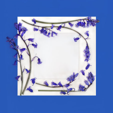 Bluebell woodland flowers Spring background border with white frame white on blue. Nature symbol of May Day Beltane Springtime season of woodland wildflowers for greeting card.の写真素材