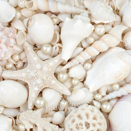 Oyster pearls and white seashells abstract background with large collection of beach shells. Nature marine life composition for summer theme greeting card.の写真素材