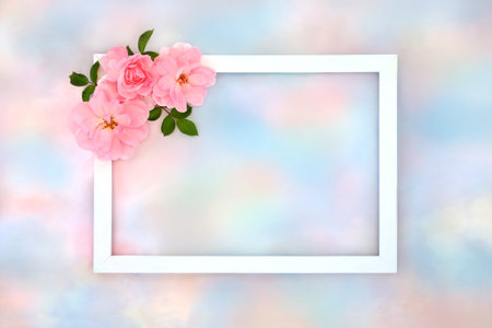 Rose flower heavenly sky fantasy background frame. Abstract summer romantic border for greeting card, business card, wedding day, valentines day, birthday.の写真素材