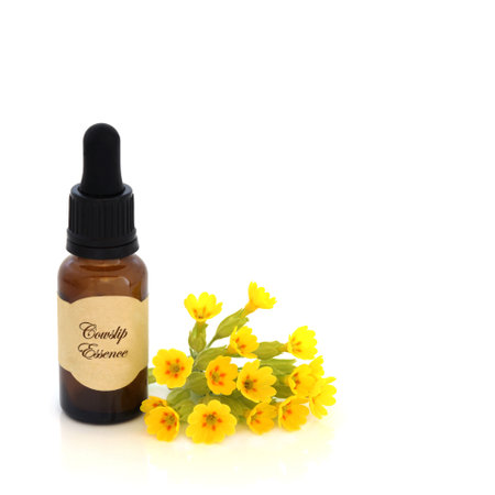 Cowslip spring flowers with brown essence bottle with label on white. Used in natural herbal medicine to treat digestion, respiratory, skincare and stress problems. Primulaceae.の写真素材