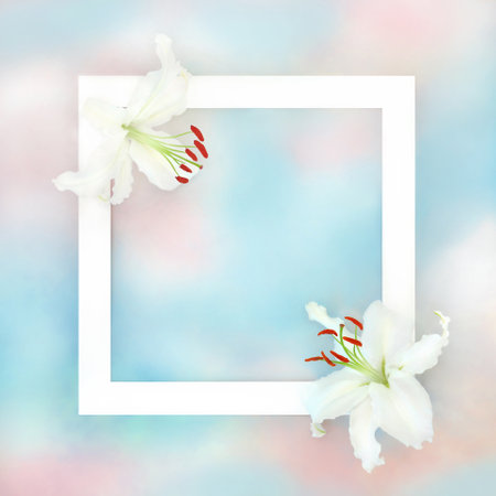White lily flowers and ribbon with heavenly sky cloud background frame. Abstract paradise border design for Mothers Day, birthday, greeting card. Beautiful nature design.の写真素材
