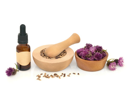 Milkthistle herb alternative natural herbal medicine, seeds, flowers, tincture bottle and mortar on white background. Medical supplies. Marianum, silymarin.の写真素材