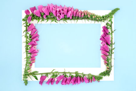 Foxglove flowers summer background border frame on pastel blue. Purple floral nature seasonal arrangement for greeting card, gift tag. Digitalis purpurea.の写真素材