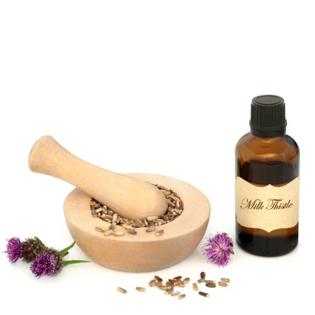 Milk thistle herb seeds, flowers natural herbal medicine with essential oil bottle and mortar on white background. Medical plants. Marianum, silymarin.の写真素材