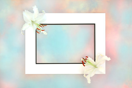 White lily flowers with heavenly paradise sky background  frame. Abstract for Mothers Day, birthday, greeting card. Spiritual floral beautiful nature design.の写真素材