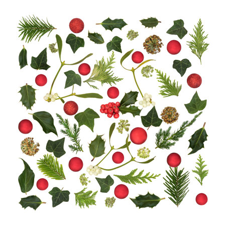 Christmas winter greenery, holly with loose red berries, sphere ball shape bauble decorations. Square shape festive design for holiday season.の写真素材