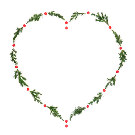 Christmas heart wreath with winter holly berries, juniper fir on white background. Festive nature symbol of love design for the holiday season for card, gift tag, invitation.の写真素材