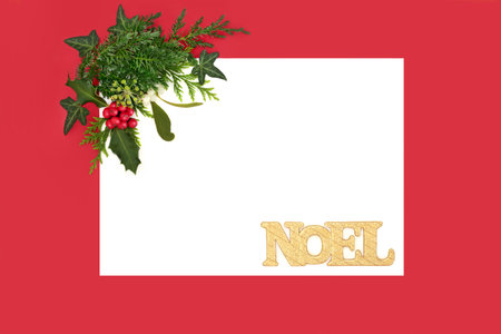 Christmas gold noel sign decoration, winter greenery, holly berries, flora on white red background...
