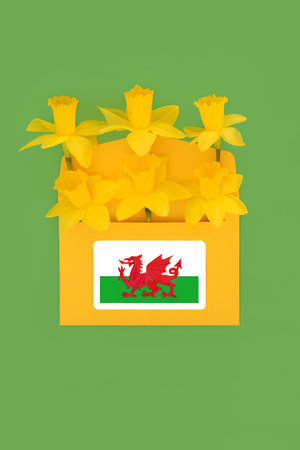 Welsh daffodil bouquet in envelope with national Cymru red dragon flag on green. Traditional symbols...
