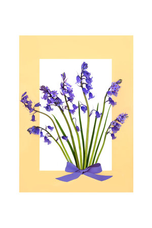 Springtime bluebell flower beautiful floral arrangement with purple bow on white background, Spring, seasonal floral arrangement for logo, greeting card.の写真素材