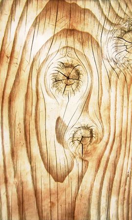 Photo Of Close Up Of Wood Detail For Backgroundの写真素材