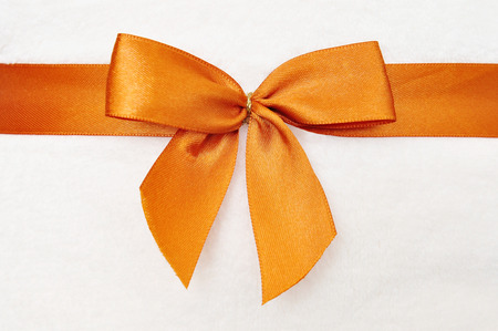 orange loop with white backgroundの写真素材
