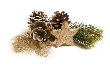 isolated christmas decoration with a golden star
の写真素材