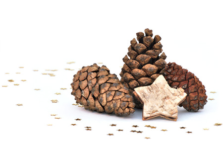 three fir cones on white backgroundの写真素材