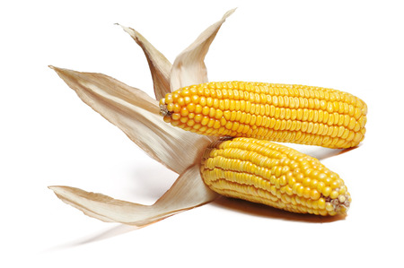 corncob detail