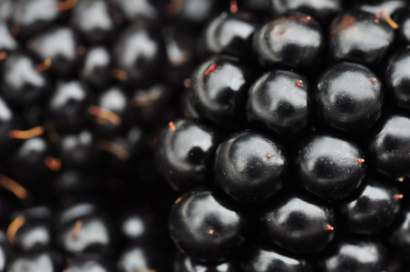 close up of a blueberryの写真素材