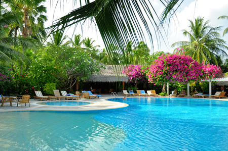 blue swimming pool on the dayのeditorial素材