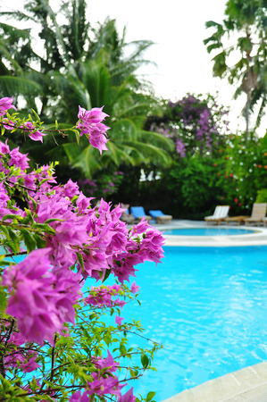 blue swimming pool on the dayのeditorial素材