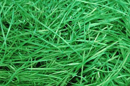 Detail of green easter grass