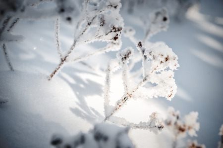 winter hike in the northern Black Forest on a sunny dayの写真素材