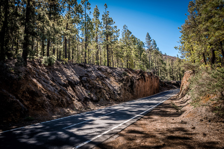 Streets of Tenerife - national parkの写真素材