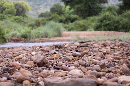 A nearly dried torrent bed with slopes in background