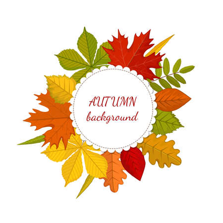 Round label with red, yellow, orange realistic autumn leaves. Autumn background text. Isolated on white background. Vector illustrationのイラスト素材
