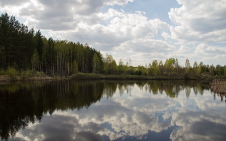 Beautiful forest pond in early spring in Central Russia.の写真素材