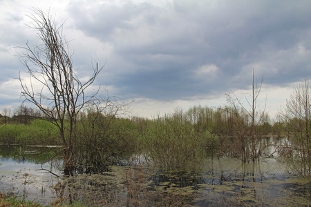 Spill of the river in the fields in early spring in cloudy weather. Russia.