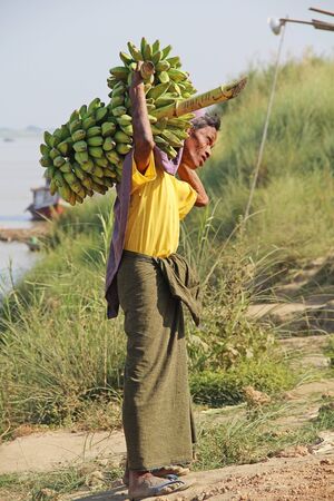 MONYWA, MYANMAR - FEBRUARY 14, 2019: Unidentified man in traditional Burmese clothing carries a branch of green bananas in Monywa, Myanmar. Most of men in Myanmar still wearing colorful traditional longyi, lungi, sarong is garment, unique dress and nationのeditorial素材