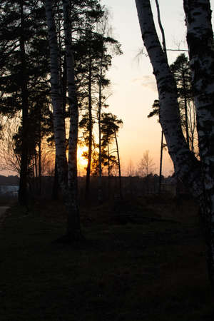 Beautiful sunset, charging with joy and happiness.のeditorial素材