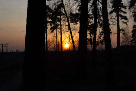 Beautiful sunset, charging with joy and happiness.のeditorial素材