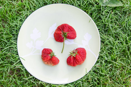 Large variety of ripe juicy strawberries.の写真素材