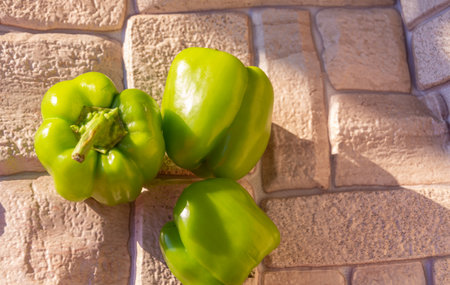 Green large sweet pepper ripened in the country.の写真素材