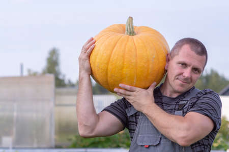 Autumn. Harvesting. A man is holding a huge ripe yellow pumpkin in his hands.の写真素材