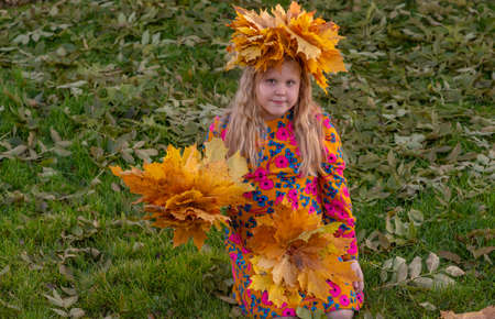 Autumn. A girl with a wreath of maple leaves on her head holds fallen autumn yellow beautiful maple leaves in her hands.の写真素材