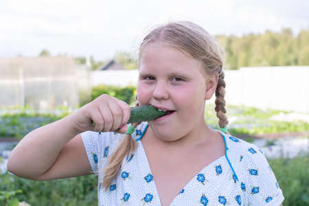 At the dacha, a girl holds fresh green cucumbers in her hands.の写真素材