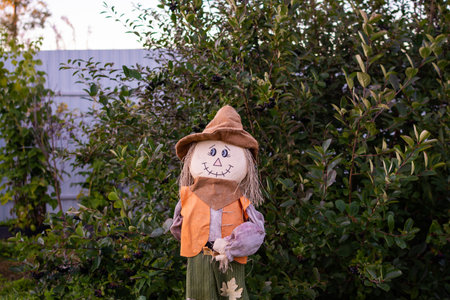 Cute scarecrow in the garden. Halloween concept. Selective focus.の写真素材