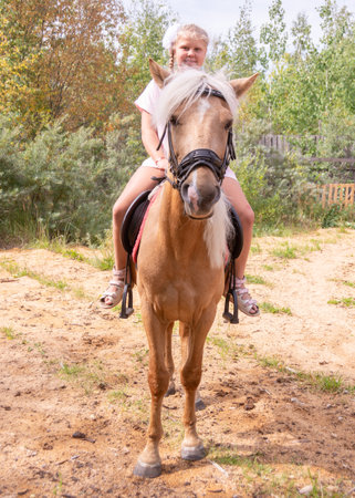 Outside on a beautiful warm day, a girl rides a horse.の写真素材