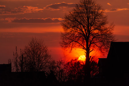 Incredibly beautiful, colorful sunset in the evening sky.の写真素材