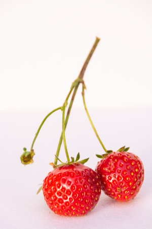 Berries. Fresh delicious delicious healthy fragrant varietal red strawberries. Healthy eating.の写真素材